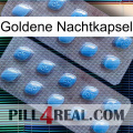 Golden Night Capsule viagra4